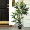 Nature Spring 5-foot Artificial Palm Tree Large Faux Potted Tropical Plant Indoor / Outdoor for Home or Office 557291QZS